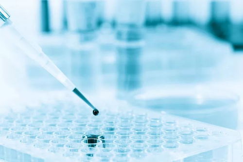 美國生物科技公司Counsyl獲8000萬美元融資，加速臨床級產前基因篩查推廣