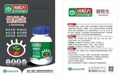科技賦能根系養(yǎng)護 生物技術引領作物增產新篇章