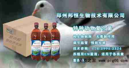 養(yǎng)雞用的益生菌使用方法竟然這么簡單——生物技術(shù)走進(jìn)養(yǎng)殖戶